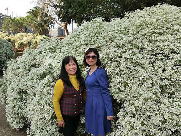 12419027_1752105558353198_5730723216730996176_o 12419027_1752105558353198_5730723216730996176_o