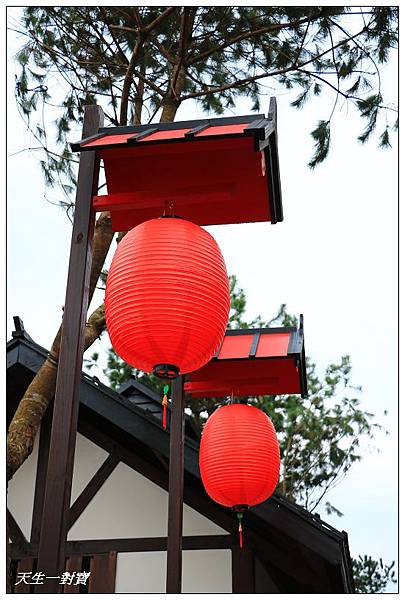 IMG_2324 IMG_2324