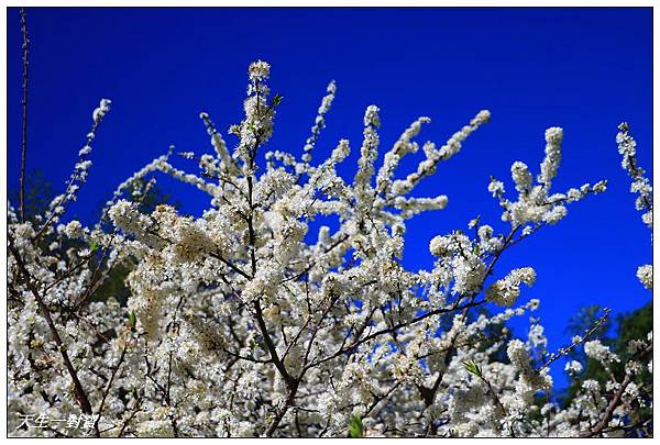 IMG_3623 IMG_3623