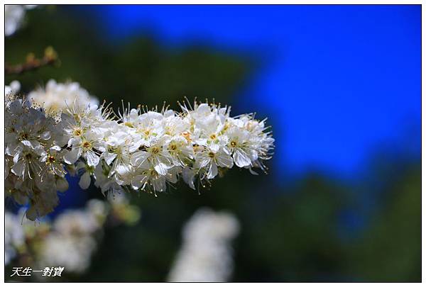 IMG_3624 IMG_3624