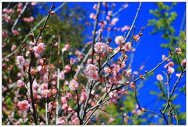 IMG_3630 IMG_3630