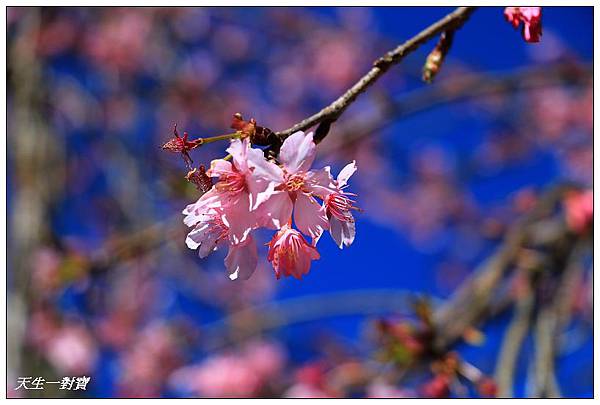 IMG_3635 IMG_3635