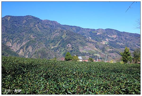 IMG_3668 IMG_3668