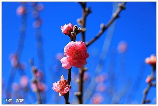 IMG_3669 IMG_3669