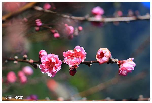 IMG_3670 IMG_3670