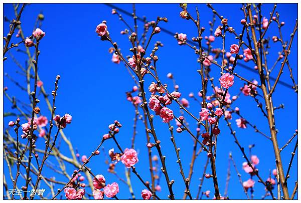 IMG_3673 IMG_3673