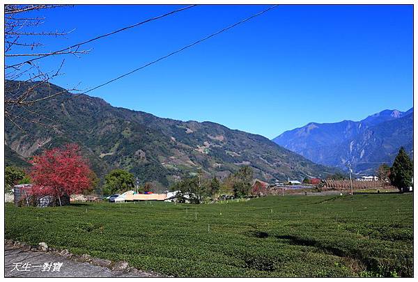 IMG_3674 IMG_3674
