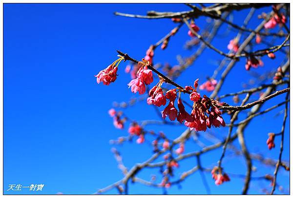 IMG_3684 IMG_3684