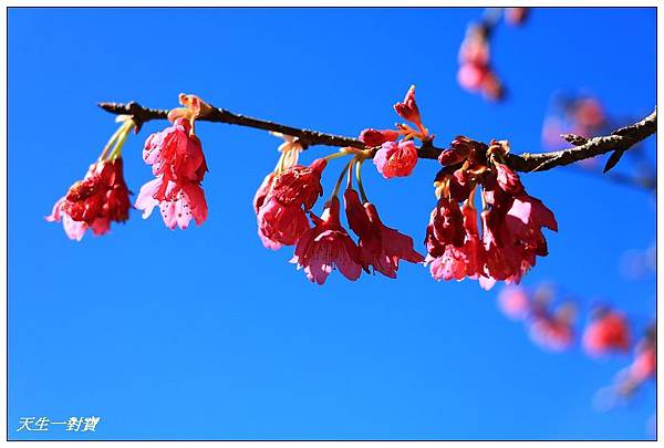 IMG_3685 IMG_3685