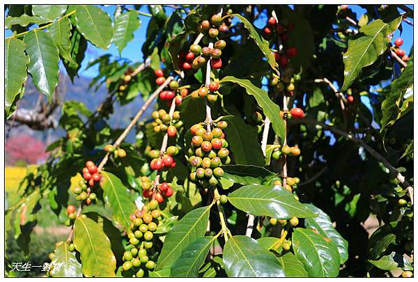 IMG_3686 IMG_3686