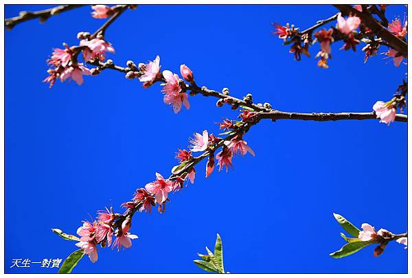 IMG_3689 IMG_3689