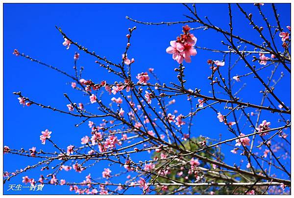 IMG_3713 IMG_3713