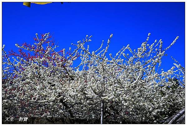 IMG_3716 IMG_3716