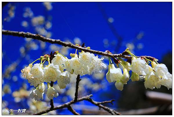 IMG_3719 IMG_3719