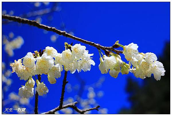 IMG_3720 IMG_3720
