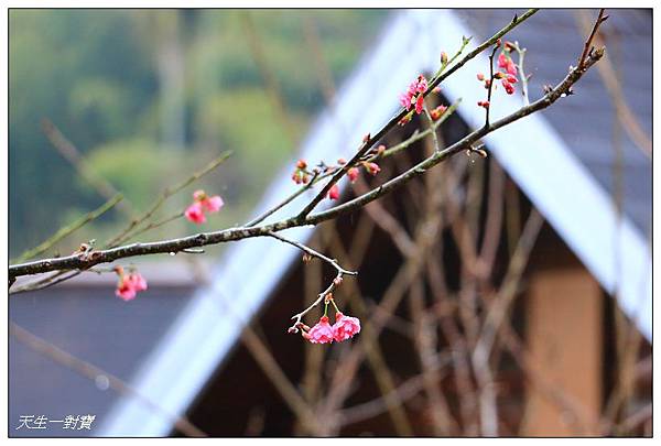 IMG_4333 IMG_4333