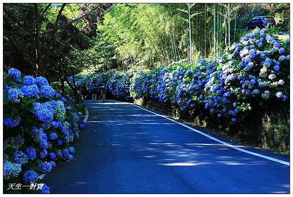 IMG_7933.jpg IMG_7933.jpg