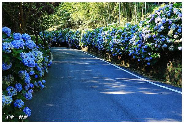 IMG_7934.jpg IMG_7934.jpg