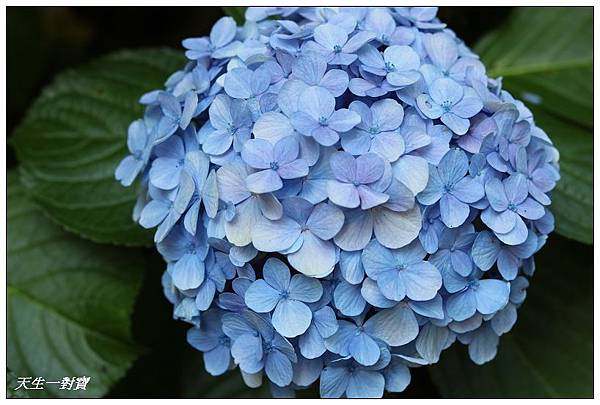 IMG_7940.jpg IMG_7940.jpg