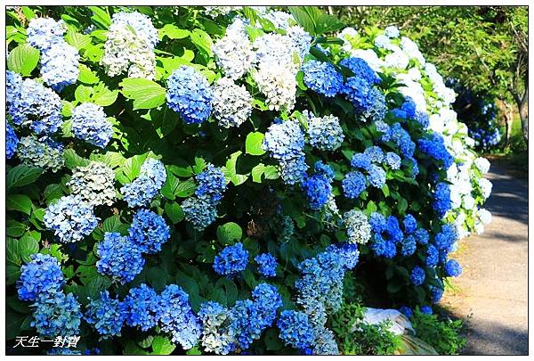 IMG_7946.jpg IMG_7946.jpg