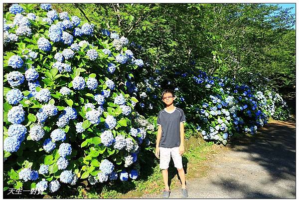 IMG_7948.jpg IMG_7948.jpg