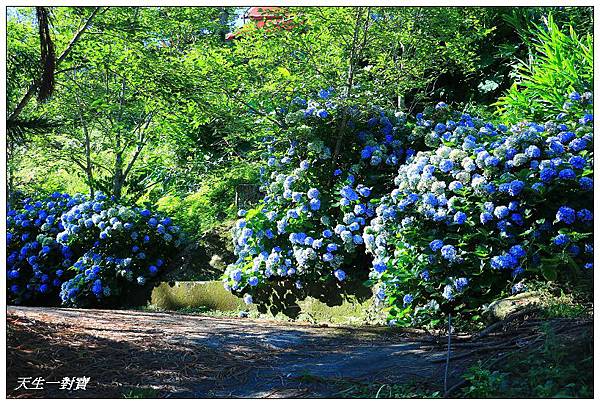 IMG_7952.jpg IMG_7952.jpg