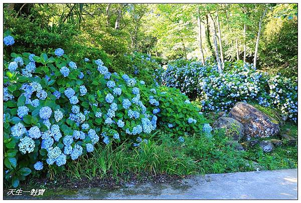 IMG_7964.jpg IMG_7964.jpg