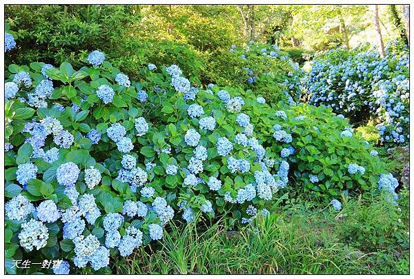 IMG_7965.jpg IMG_7965.jpg