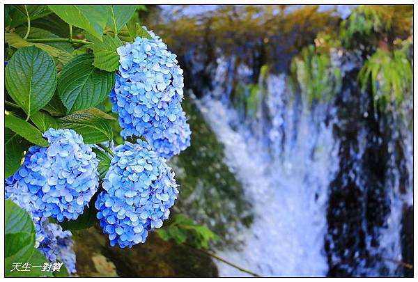 IMG_7966.jpg IMG_7966.jpg