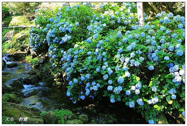 IMG_7968.jpg IMG_7968.jpg