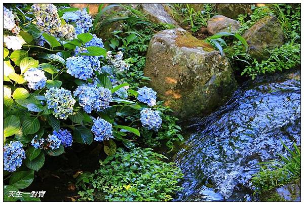 IMG_7970.jpg IMG_7970.jpg