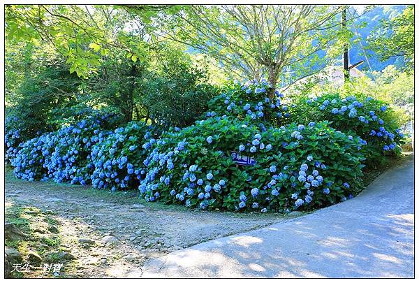 IMG_7971.jpg IMG_7971.jpg