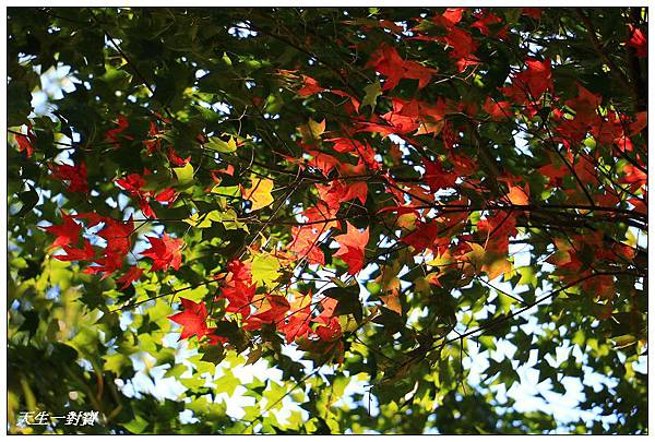 IMG_7989.jpg IMG_7989.jpg