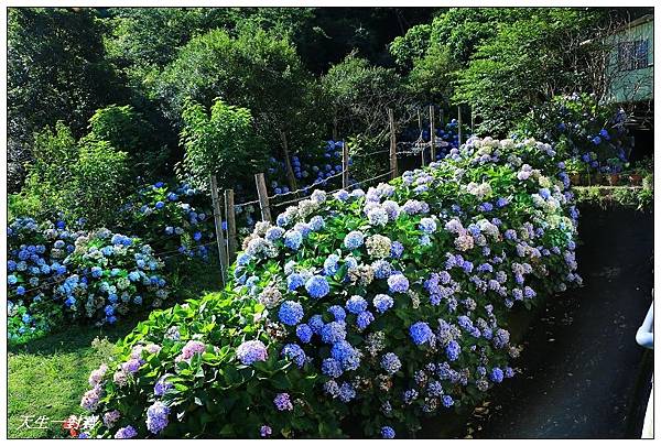 IMG_7990.jpg IMG_7990.jpg