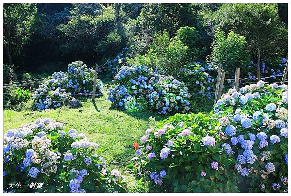 IMG_7991.jpg IMG_7991.jpg