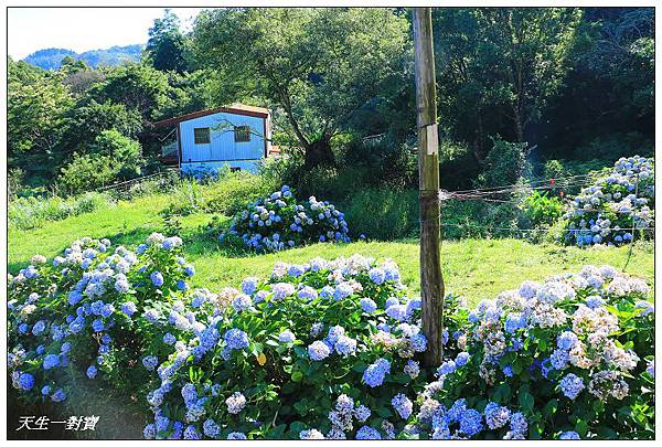 IMG_7992.jpg IMG_7992.jpg