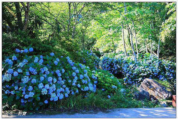 IMG_7994.jpg IMG_7994.jpg