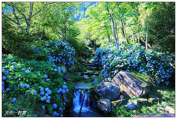 IMG_7995.jpg IMG_7995.jpg