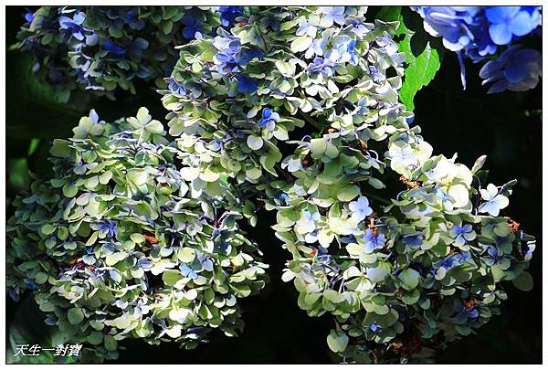 IMG_7996.jpg IMG_7996.jpg