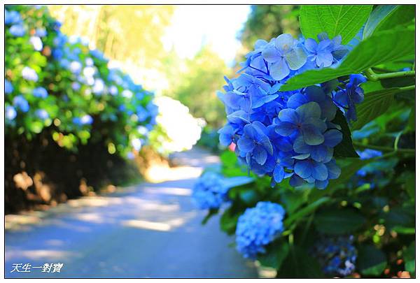 IMG_7999.jpg IMG_7999.jpg