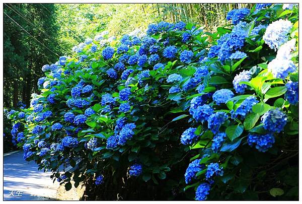 IMG_8001.jpg IMG_8001.jpg