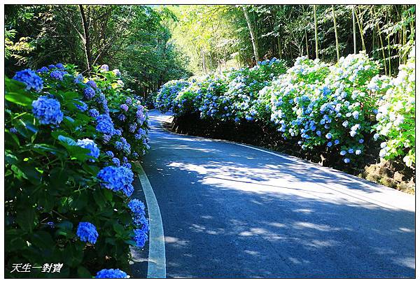 IMG_8002.jpg IMG_8002.jpg