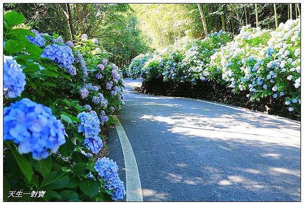 IMG_8004.jpg IMG_8004.jpg