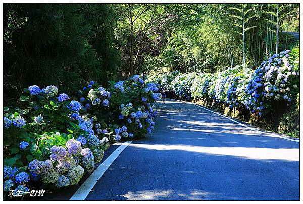 IMG_8010.jpg IMG_8010.jpg