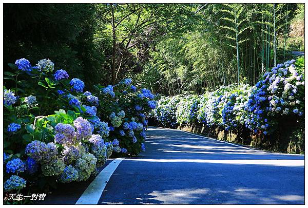 IMG_8011.jpg IMG_8011.jpg