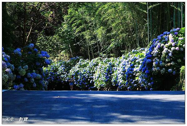 IMG_8016.jpg IMG_8016.jpg