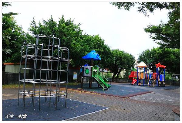 IMG_1416 IMG_1416