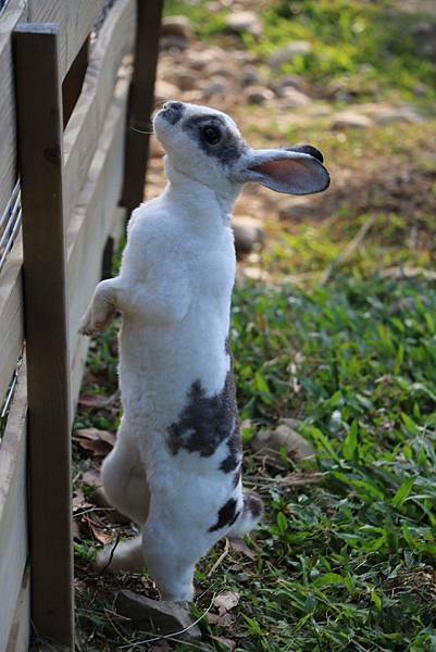 received_1330835023602827 received_1330835023602827