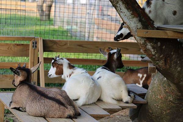 received_1330835026936160 received_1330835026936160