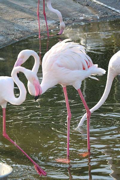 received_1330835033602826 received_1330835033602826